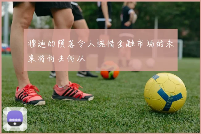 穆迪的陨落令人惋惜金融市场的未来将何去何从